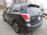 2017 Gray /Gray Subaru Forester 2.5i Limited (JF2SJARC4HH) with an 2.5L H4 SOHC 16V engine, Automatic transmission, located at 270 US Route 6, Mahopac, NY, 10541, (845) 621-0895, 41.349022, -73.755280 - Photo#4