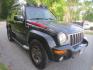 2002 Black /Gray Jeep Liberty Limited Ranagade (1J8GL58K02W) with an 3.7L V6 SOHC 12V engine, 4-Speed Automatic Overdrive transmission, located at 270 US Route 6, Mahopac, NY, 10541, (845) 621-0895, 41.349022, -73.755280 - Photo#1