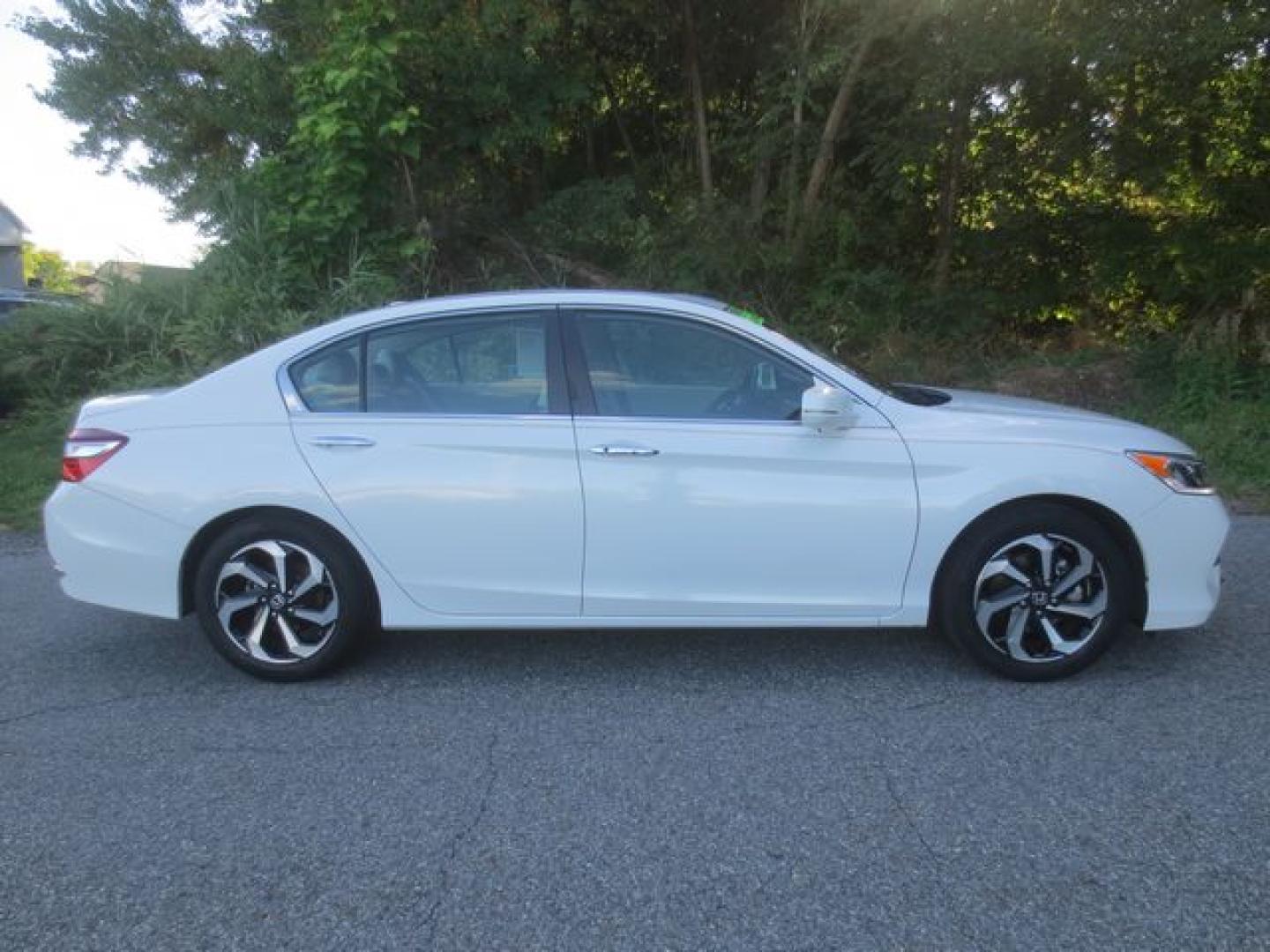 2017 White /Beige Honda Accord EX-L (1HGCR2F96HA) with an 2.4L L4 DOHC 16V engine, Automatic transmission, located at 270 US Route 6, Mahopac, NY, 10541, (845) 621-0895, 41.349022, -73.755280 - Photo#12