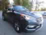2017 Blue /Gray Hyundai Santa Fe Sport (5NMZUDLB9HH) with an 2.4L L4 DOHC 16V engine, 6 Speed Automatic transmission, located at 270 US Route 6, Mahopac, NY, 10541, (845) 621-0895, 41.349022, -73.755280 - Photo#1